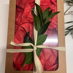 No 35 Urla Lux Paket